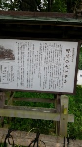 DSC_0377.JPG