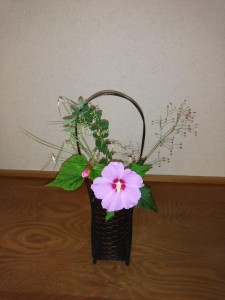 IMG_20190825_085357.jpg